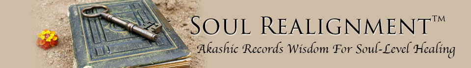 Soul Realignment Training